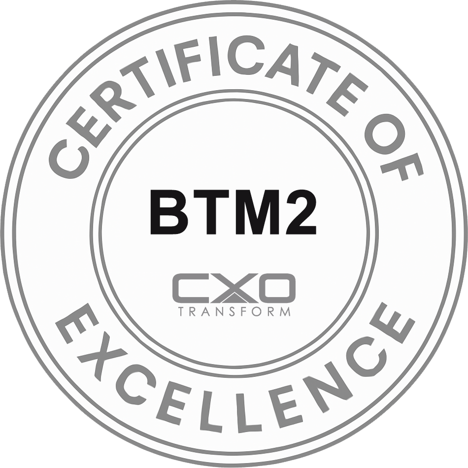 The Business Transformation Management Methodology (BTM²) certification demonstrates the ability to manage complex business transformations by aligning strategy, processes, people, and technology across nine essential management disciplines.