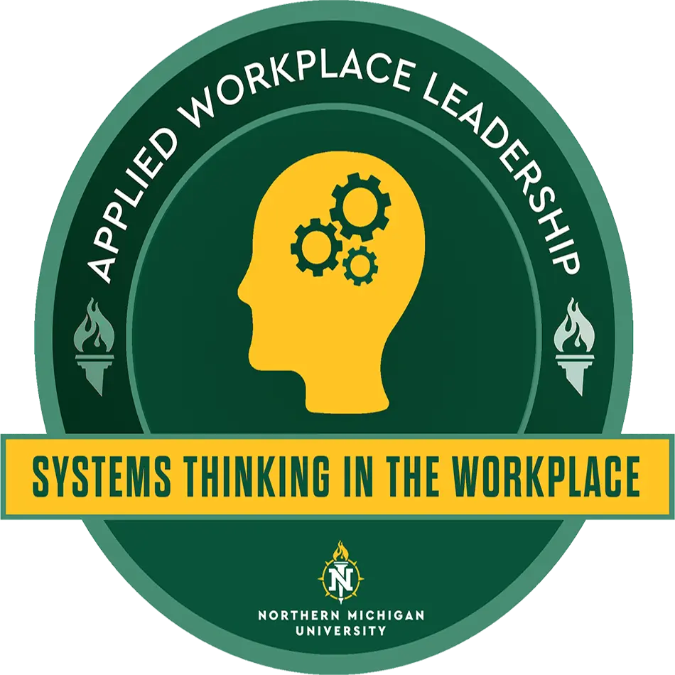 UM-MT – Model Thinking UM-MT – Model Thinking